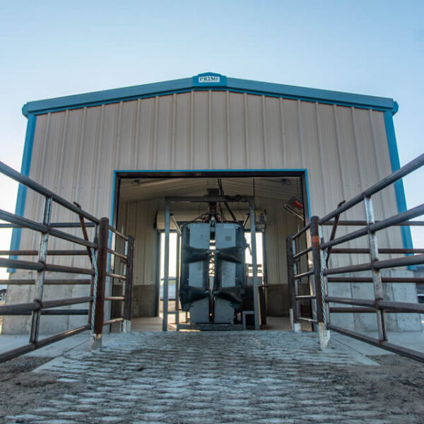 Wilroads Feedyard